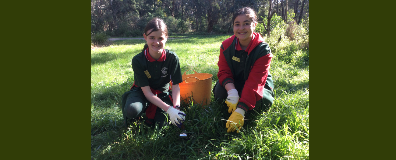 Primary school students outdoors pulling out weeds