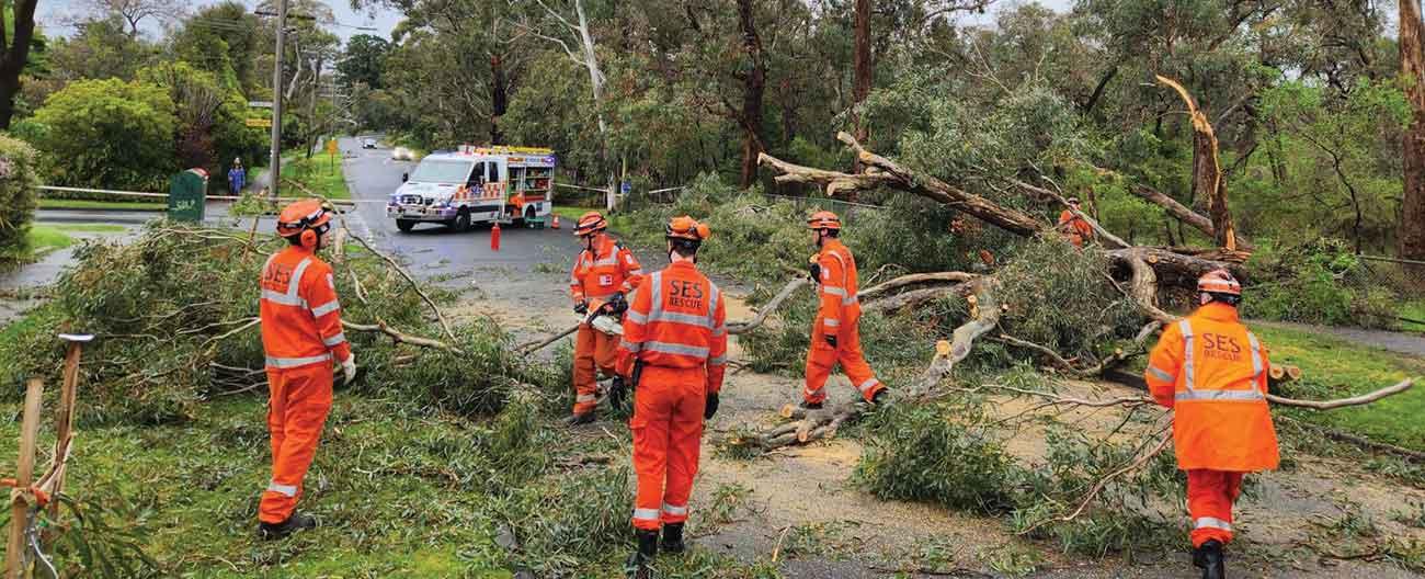 Emergency workers clearing fallen tree from road