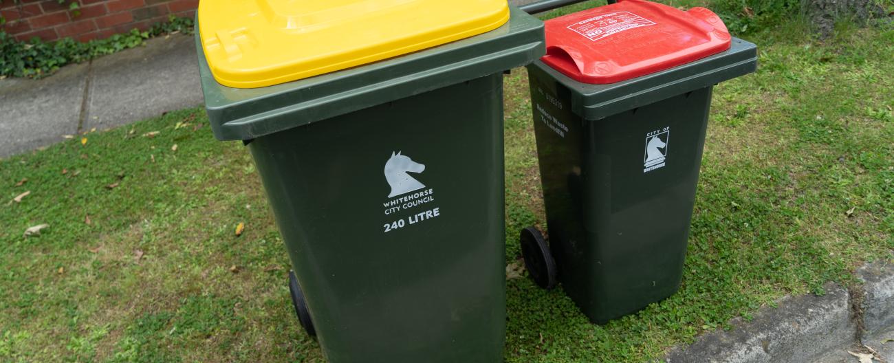 Bins - garbage and recycling 