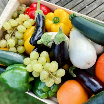 fresh vegetables in crate landscape 